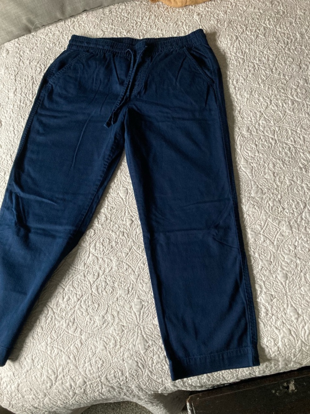 GAP Navy Drawstring Casual Pants